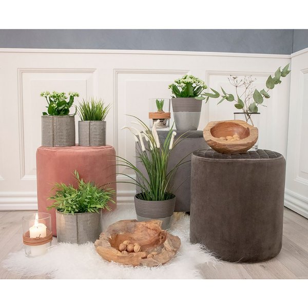 Rio Teakschale - Teakholz - �30